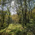 Uliveto Moriondo Salò